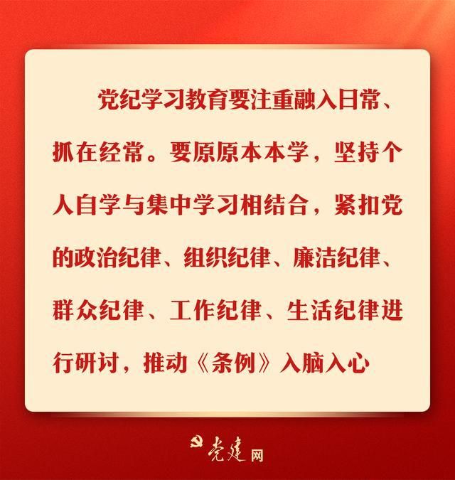 辅导员24号令最新版，引领教育新时代的管理指南