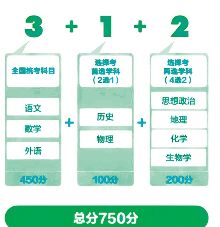 2025新奥正版资料免费提供,全面释义解释落实