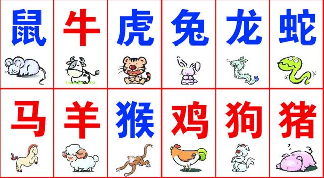 一码一肖100%精准生肖第六,全面释义解释落实