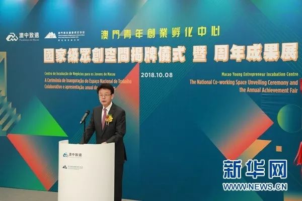 新澳今天开什么特马,全面释义解释落实