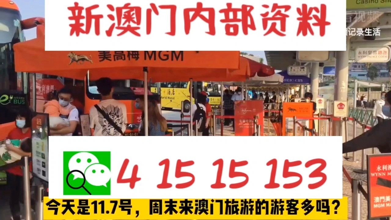 新澳门一肖一码中恃,全面释义解释落实