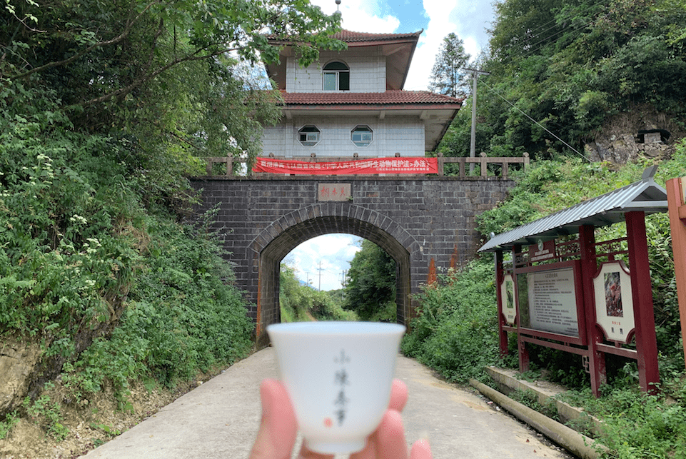 澳门一码一肖一恃一中354期,全面释义解释落实