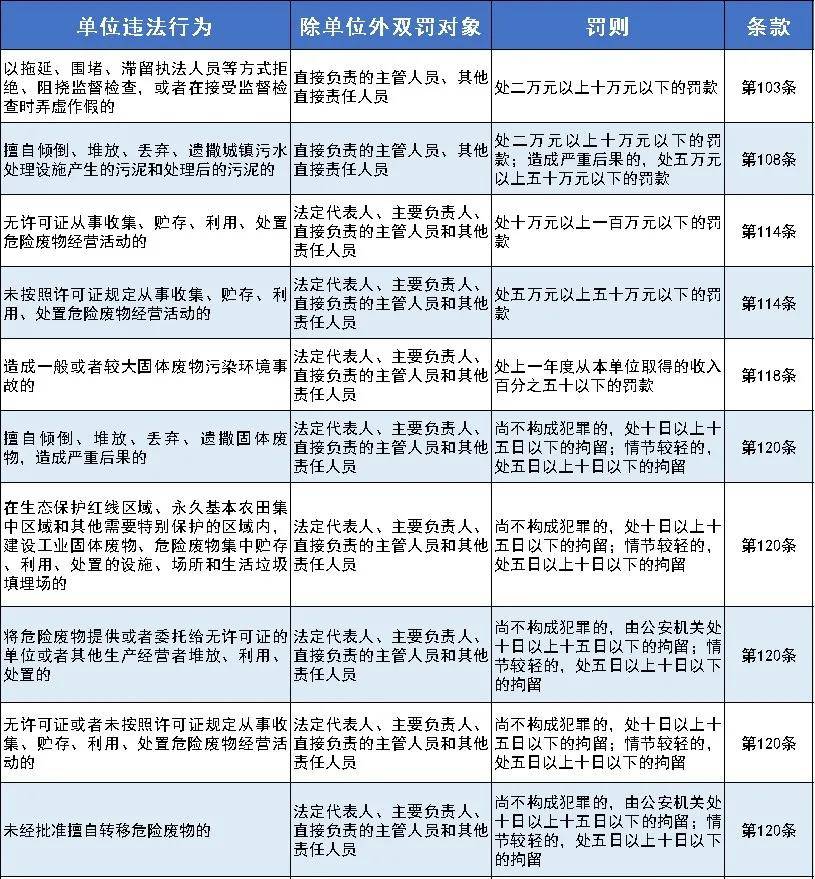 新澳门2025年正版马表,全面释义解释落实