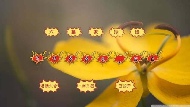 4949精准澳门彩最准确的,全面释义解释落实