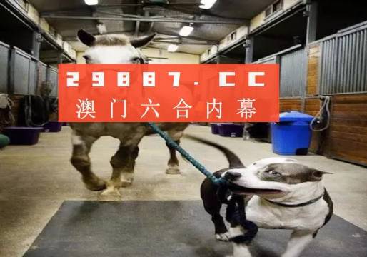 澳门一肖一码一一子,全面释义解释落实