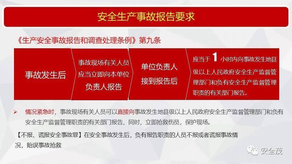 管家婆精准资料大全免费精华区,全面释义解释落实