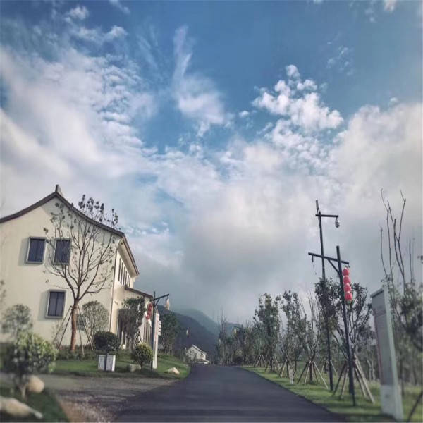 推荐 第344页