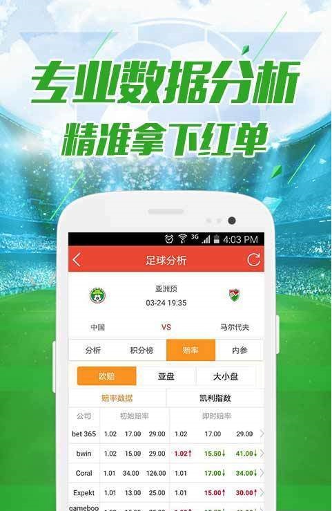 澳门六开彩天天开奖结果查询今天澳门,全面释义解释落实