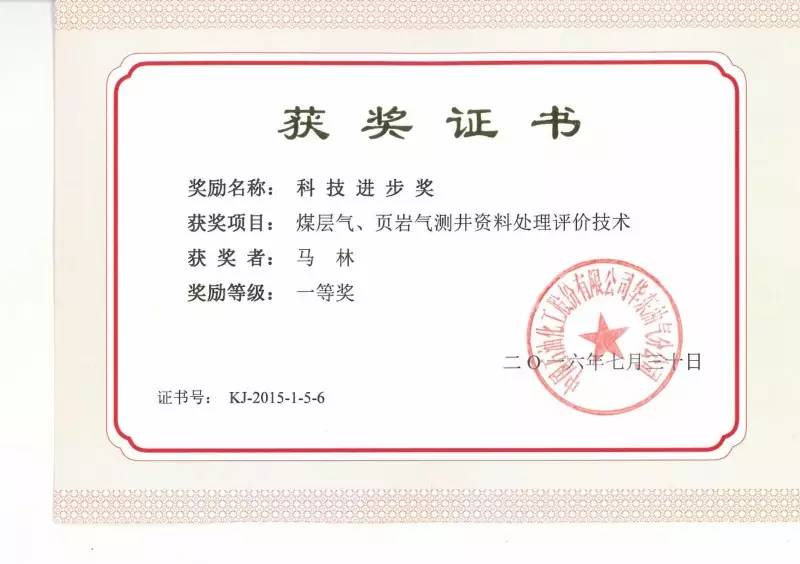 新奥门资料免费资料,全面释义解释落实