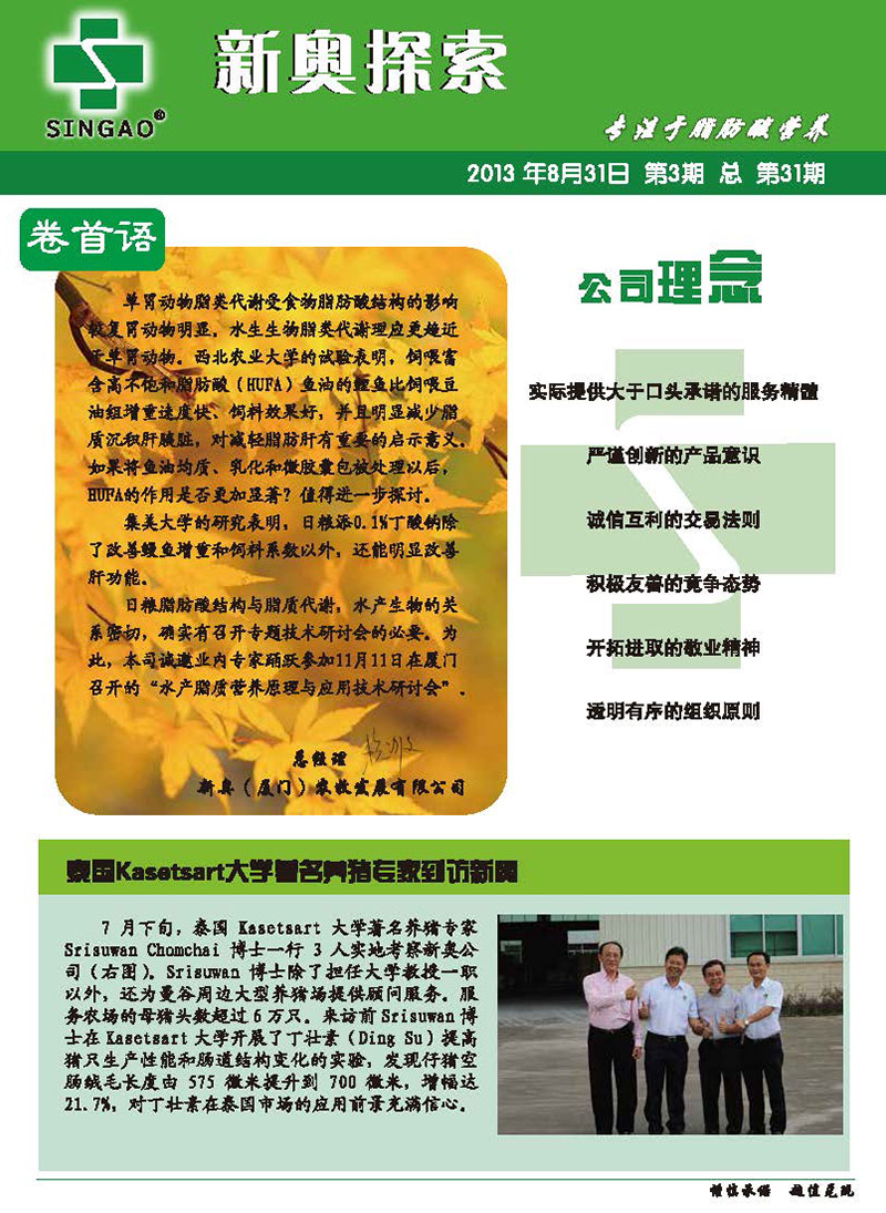 新奥资料免费精准大全,全面释义解释落实