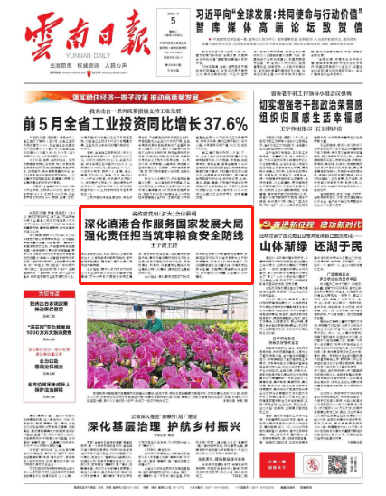 快评 第346页