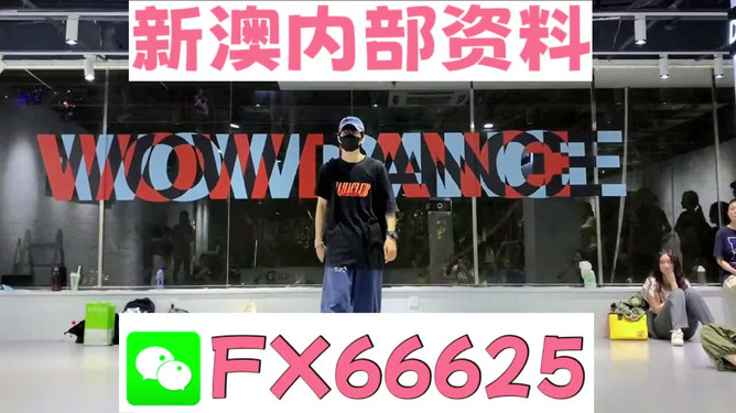 新澳门精准资料大全管家婆料,全面释义解释落实