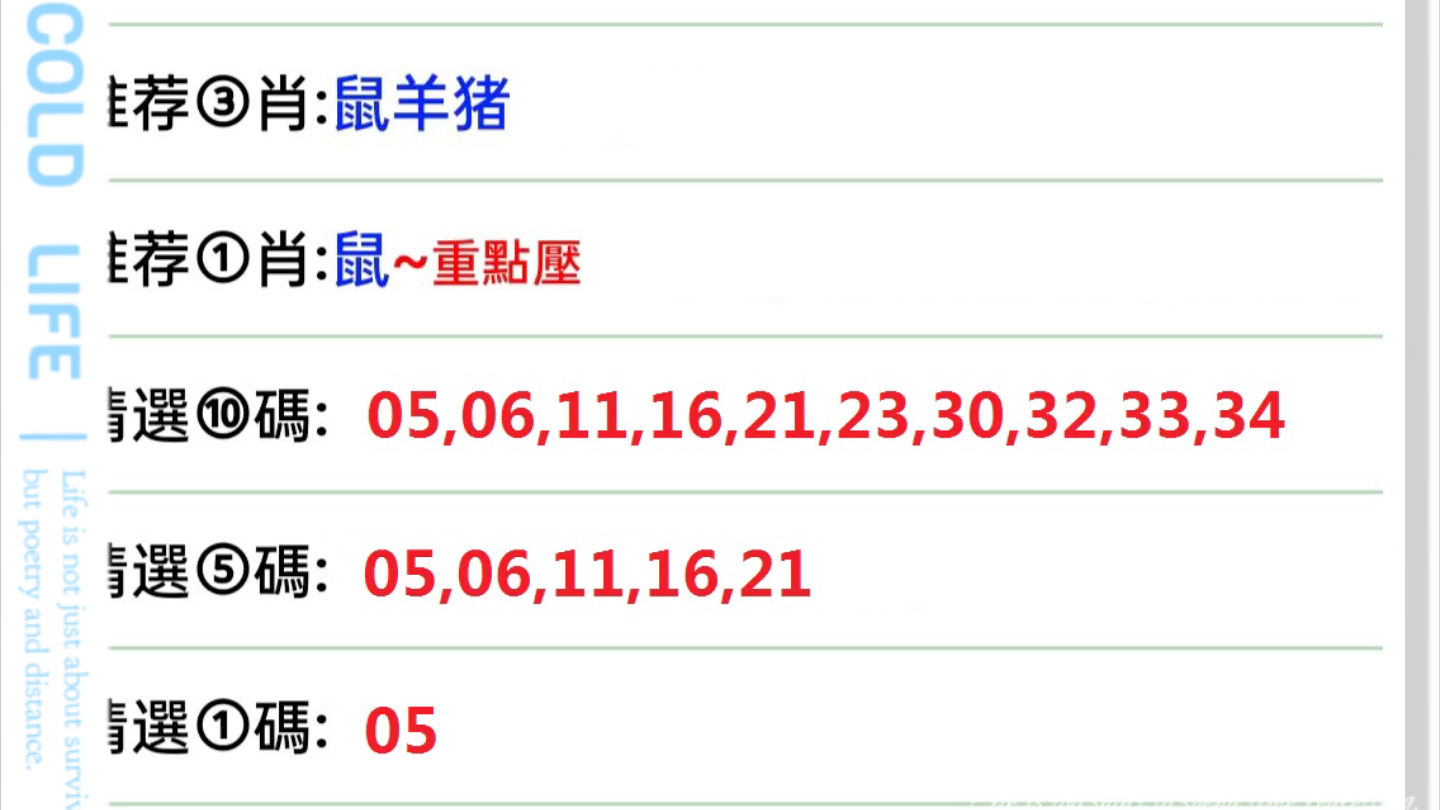 2025澳门特马今晚开奖07期,全面释义解释落实