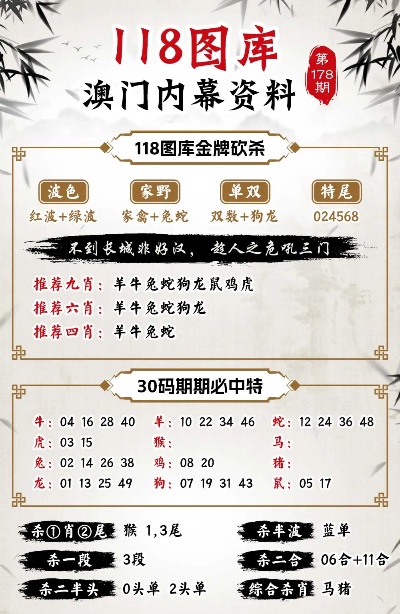 新澳2025今晚开奖资料四不像,全面释义解释落实