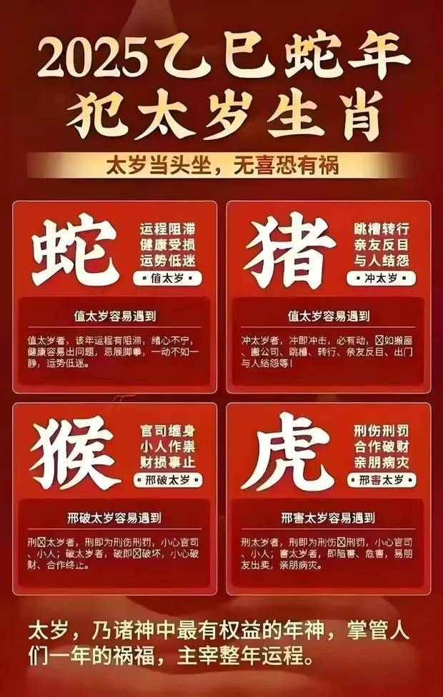 十二生肖与2025年之49个码,全面释义解释落实