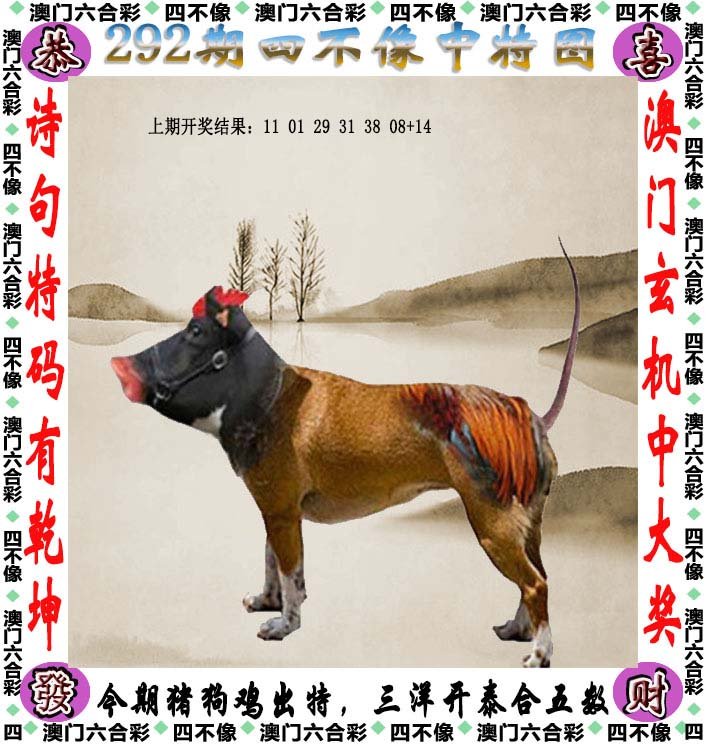 澳门今期今晚四不像,全面释义解释落实