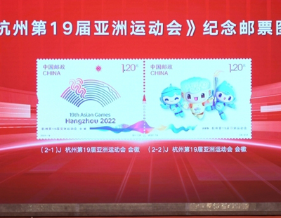 四肖八码期期准资料免费,全面释义解释落实