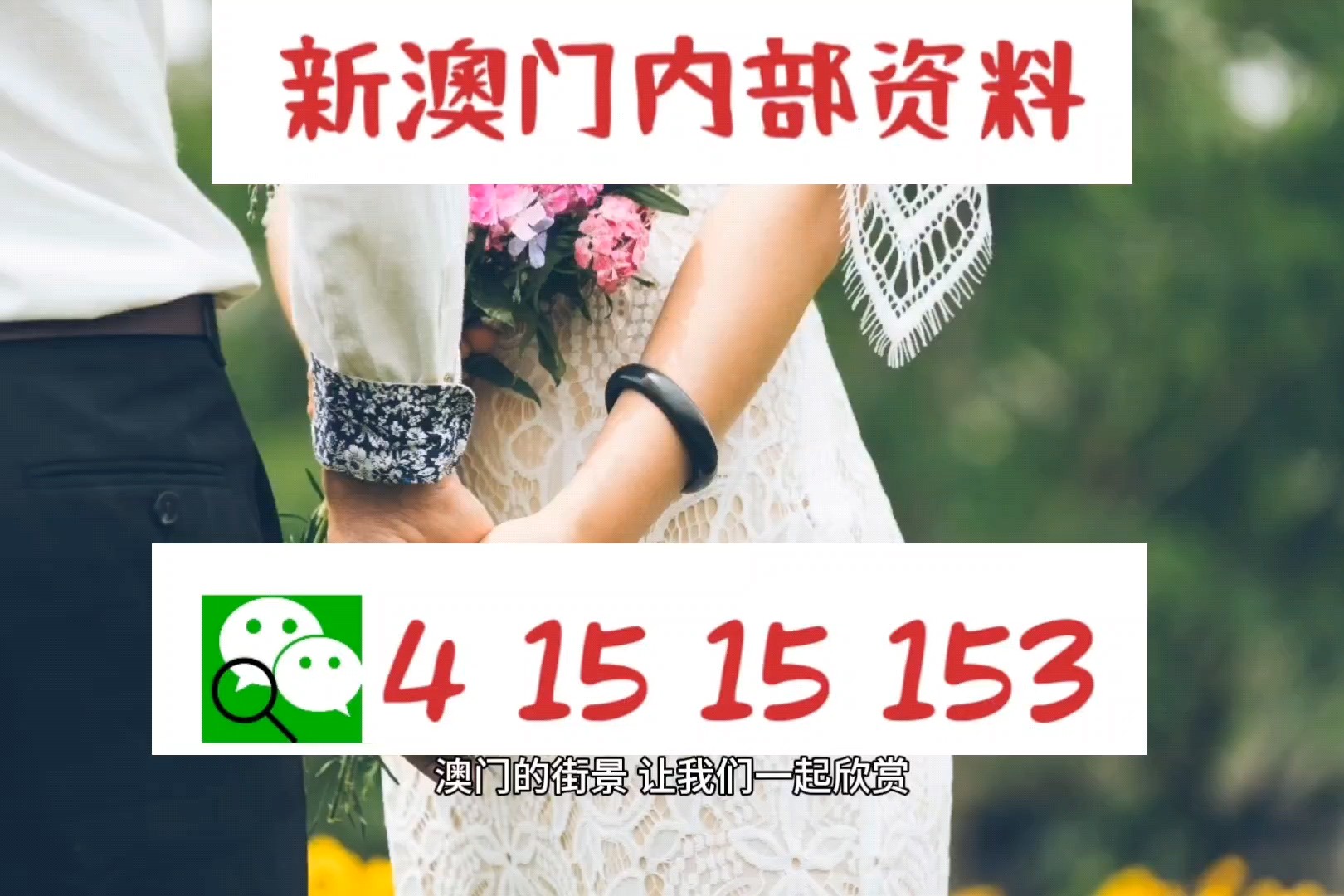 2025新澳门精准正版免费资料510期,全面释义解释落实