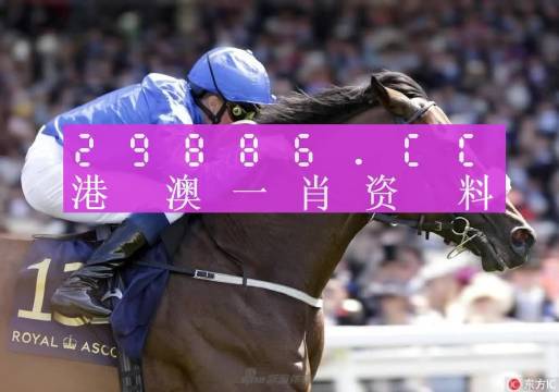 澳门一码中精准一码资料一码中,全面释义解释落实
