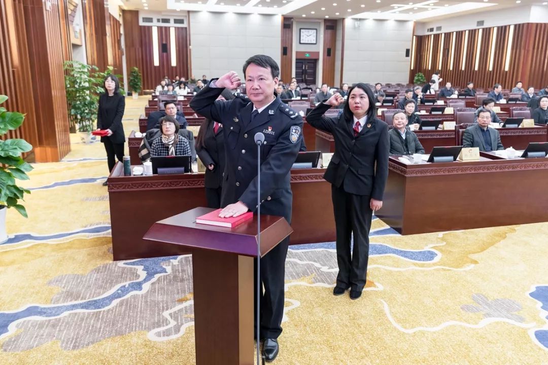 陈金观最新消息