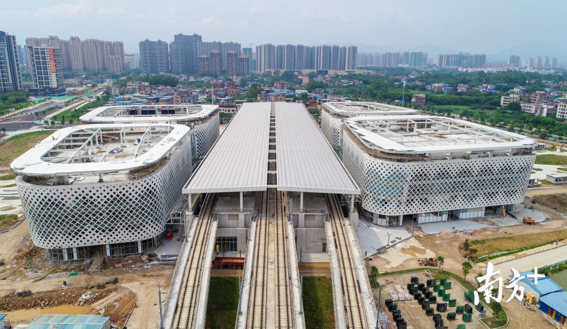 管家一码中一肖必中,揭秘管家一码中一肖必中的神秘面纱