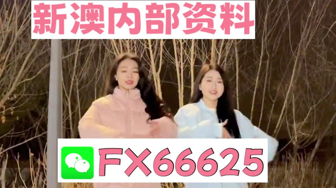 管家婆一码一肖100%,揭秘管家婆一码一肖，探寻背后的真相与理性对待
