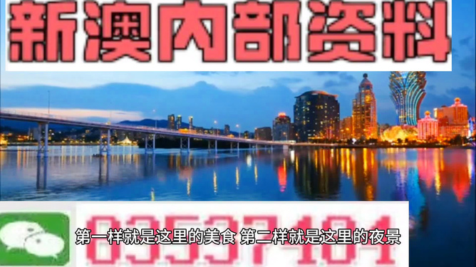 新澳门免费资料大全在线查看,新澳门免费资料大全在线查看，探索与启示