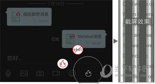 资讯 第71页