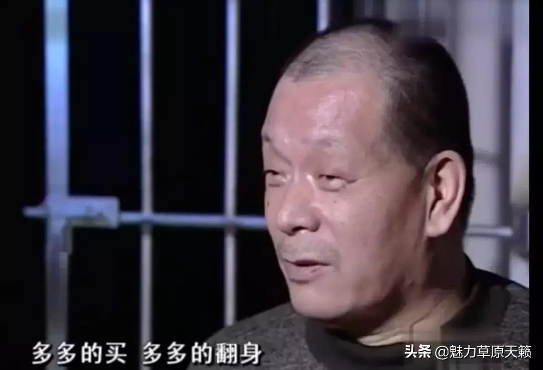 四肖期期准最准的资料,四肖期期准最准的资料，深度解析与预测策略