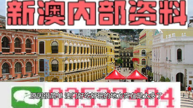 4949澳门免费精准大全,澳门免费精准大全，探索4949的魅力与真相