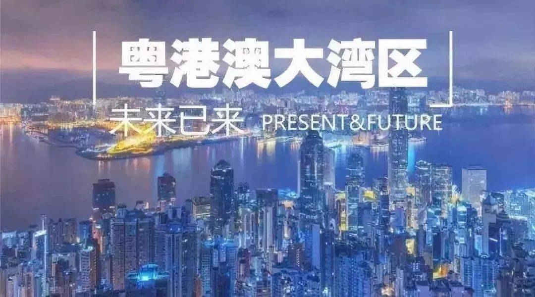 澳门一肖今天必中,澳门一肖今天必中，探索运气与策略的平衡点