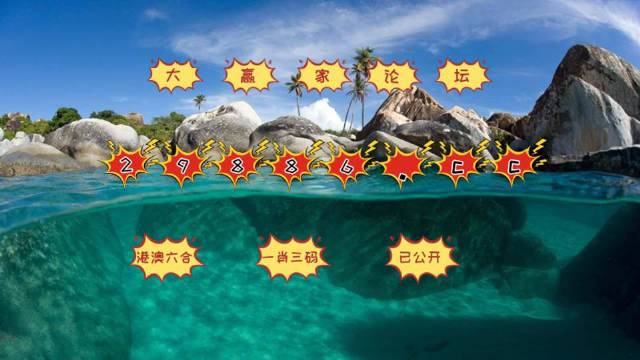 澳门六开彩天天开奖193期,澳门六开彩天天开奖的魅力与期待，第193期的独特风采