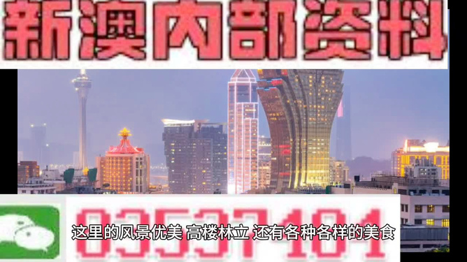 2025新澳门天天开奖精准资料大全, 2025新澳门天天开奖精准资料大全，探索彩票世界的秘密