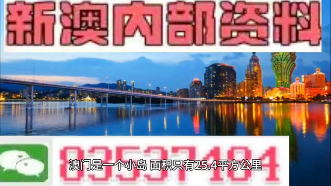 2025年新澳门天天开彩,探索未来，新澳门天天开彩的繁荣与机遇（2025展望）