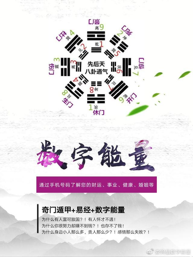 77778888王中王资料,揭秘王中王，探寻数字背后的故事与资料