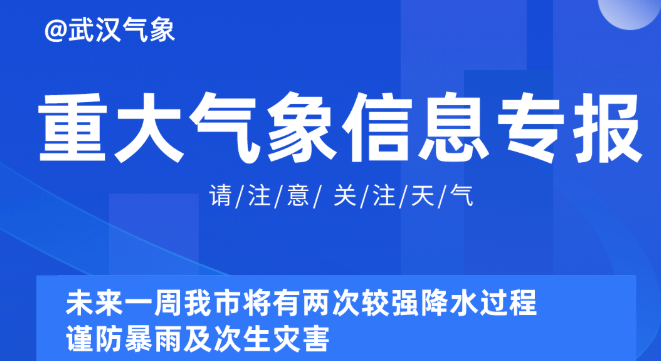 2025新奥资料免费精准051,探索未来，免费获取精准新奥资料的机遇与挑战
