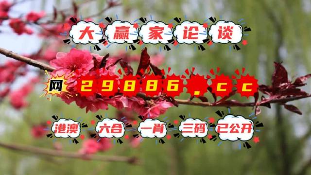 澳门一肖一码一一子,澳门一肖一码一一子的奥秘与探索