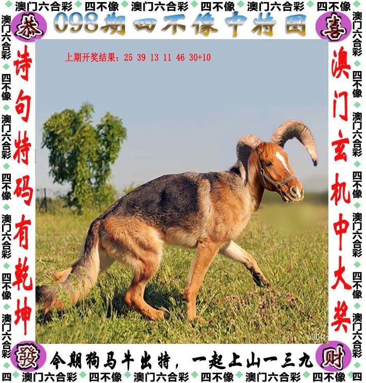 澳门最准四不像正版资料,澳门最准四不像正版资料，探索与解析