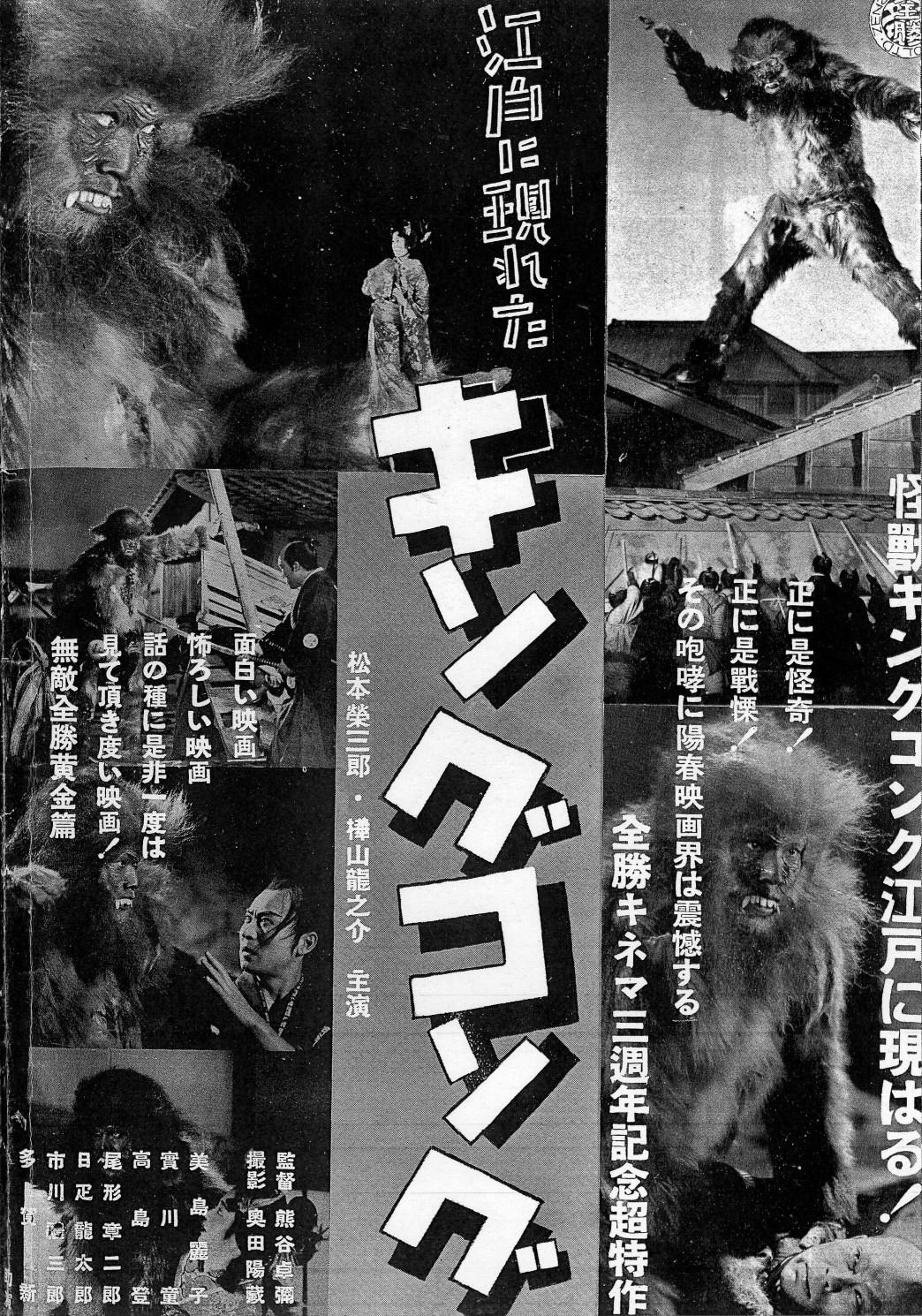 今晚澳门特马必开一肖,今晚澳门特马必开一肖，探索背后的文化、历史与娱乐魅力