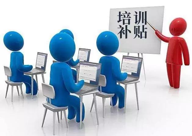 新澳门一码最精准的网站,探索新澳门一码最精准的网站
