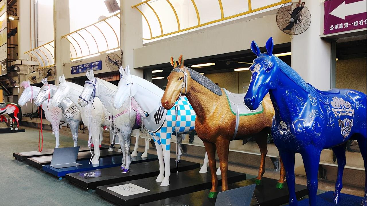 香港今晚开什么特马,香港今晚的马票结果预测与赛马文化深度解析