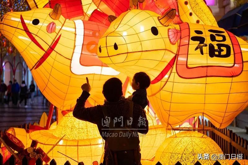 澳门六开彩 开奖结果查询金牛,澳门六开彩开奖结果查询与金牛彩票的奥秘
