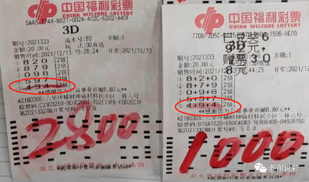 2025年新奥门天天开彩免费资料,探索未来彩票世界，新澳门天天开彩免费资料与2025年的新机遇