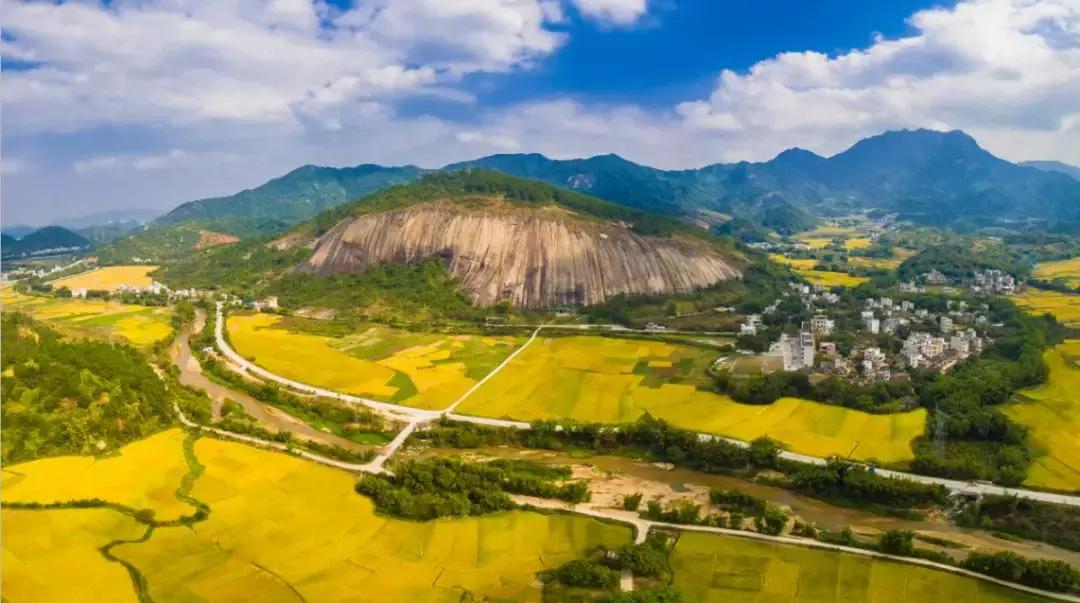 2025精准正版资料,探索未来之路，2025精准正版资料的引领力量