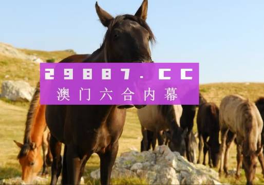 2025新澳门管家婆免费大全,探索澳门，2025新澳门管家婆免费大全